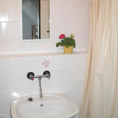 Guest house Mileta